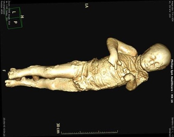 10個歷史遺物經過斷層掃描結果 世界最小的木乃伊只有44公分