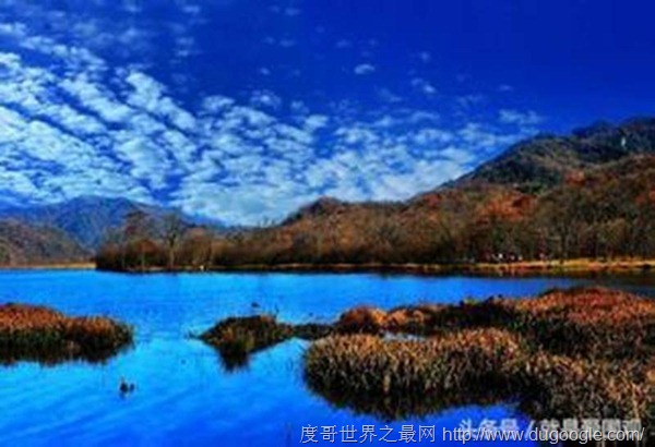 中國最美的六大濕地公園,中國國家濕地公園列表大全