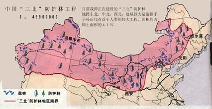 中國(guó)最大的造林工程 三北防護(hù)林