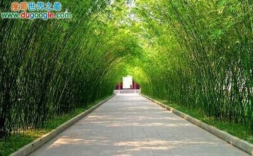 中國植物園的世界之最