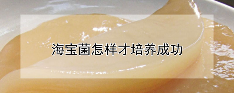海寶菌怎樣才培養成功